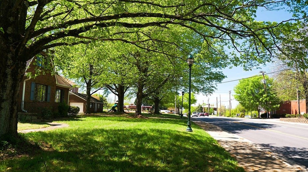 Città di Lewisville Città locale della Carolina del Nord negli Stati Uniti