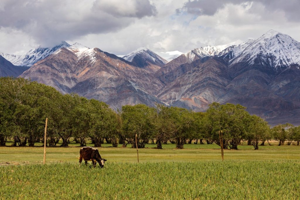 Le montagne del Pamir sono una catena montuosa tra l'Asia centrale e il Pakistan.