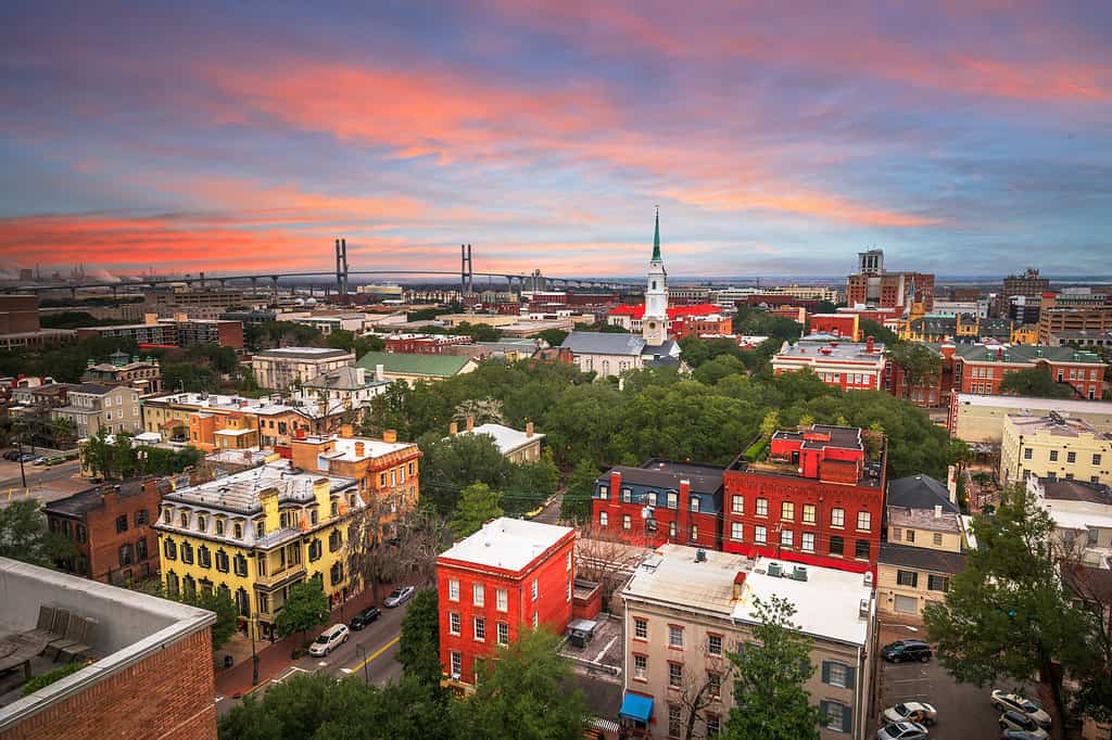Orizzonte del centro di Savannah, Georgia, Stati Uniti