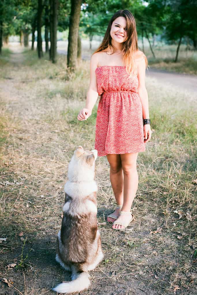 Dare alla tua cagna un nome di donna è un'opzione divertente. 
