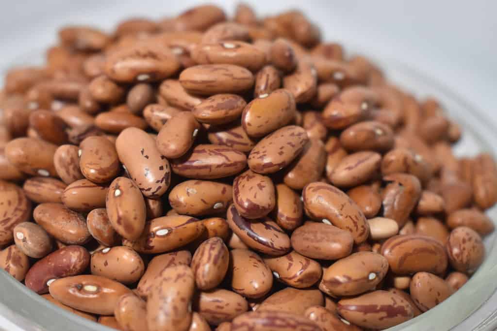 Rajma himalayano - Fagioli rossi crudi - Ciotola Primo piano