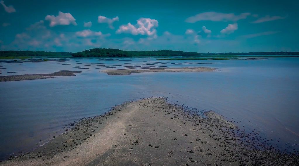 Bellissima acqua della Pickney Wildlife Preserve