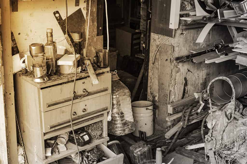 Un gran casino in un garage di periferia strapieno. accaparratore di animali.