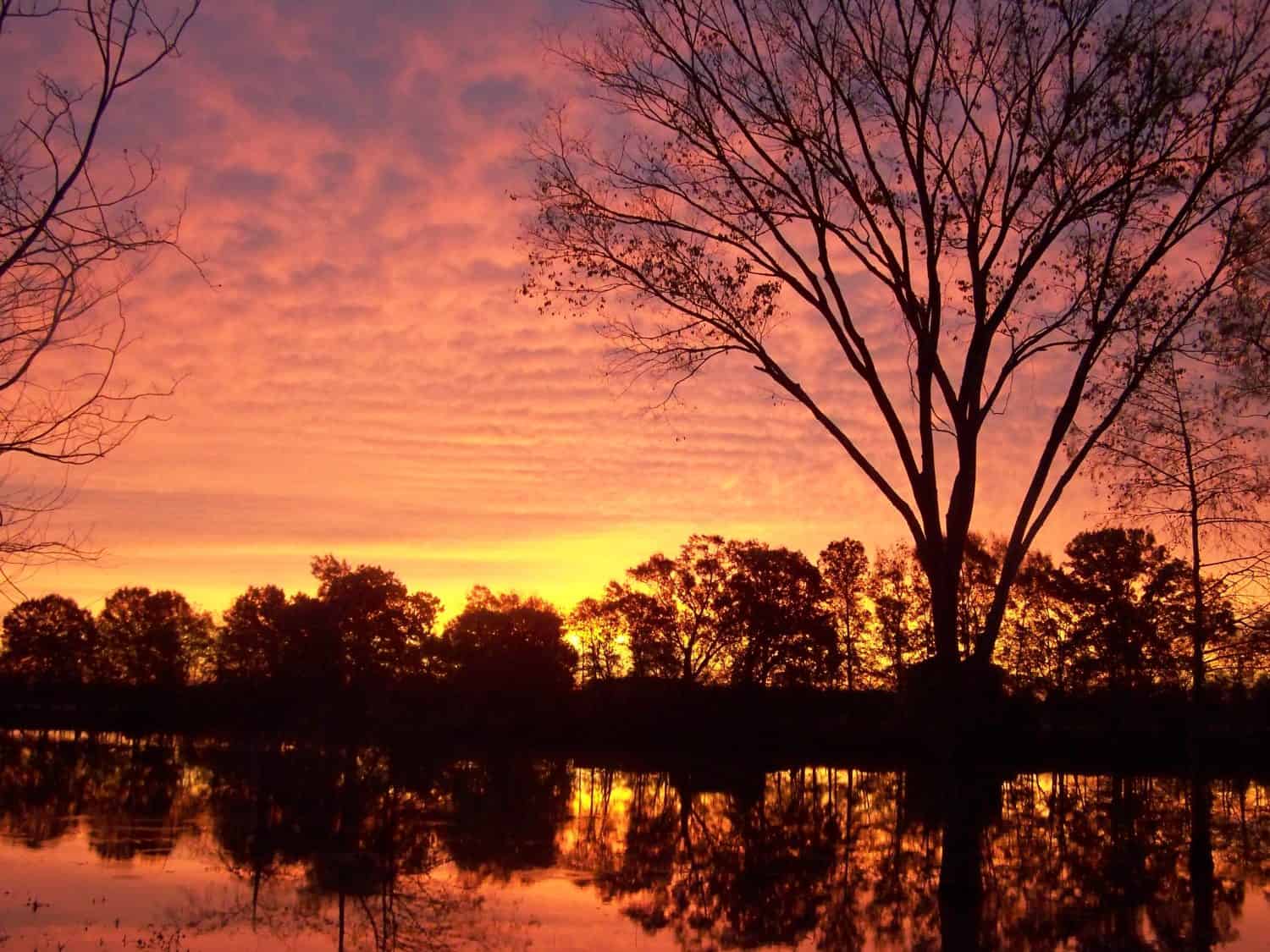 Alba sul fiume Boeuf Hebert Louisiana