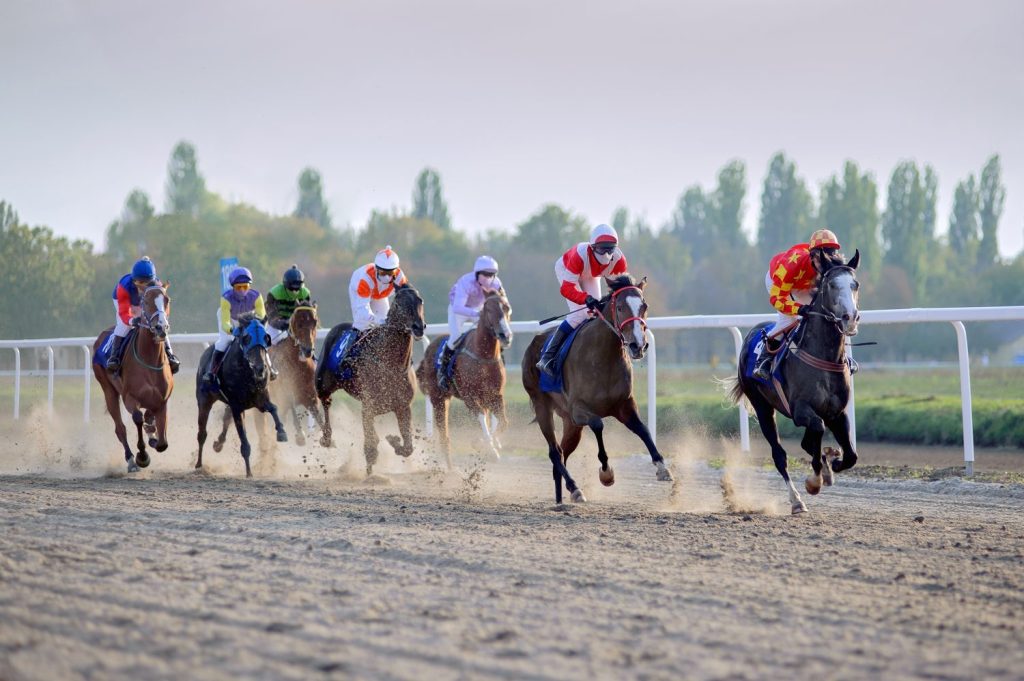 Cavalli da corsa al galoppo e fantini che corrono verso il traguardo.  Corse di cavalli al tramonto