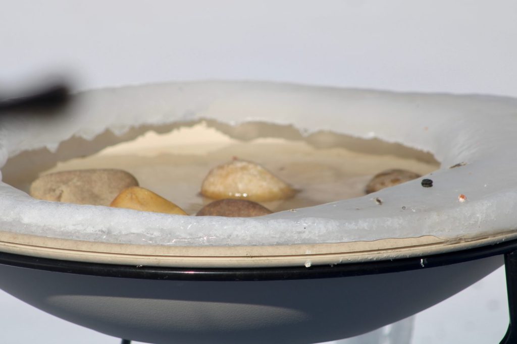 Una vasca per uccelli riscaldata, riempita con acqua e pietre. Il bordo attorno alla vasca è ghiacciato e coperto di neve e ghiaccio.