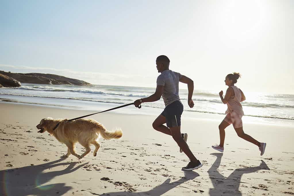 Coppia, fitness o corsa con il cane sulla spiaggia, allenamento o allenamento tra le onde dell'acqua, l'oceano o il mare della California con il Golden Retriever. Donna, uomo e corridore con animali da compagnia negli sport naturali