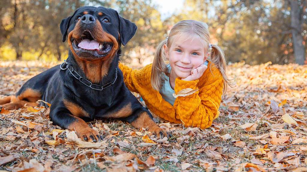 Bambino con Rottweiler