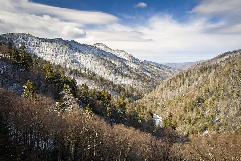 Gatlinburg Parco Nazionale delle Grandi Montagne Fumose L'inverno si affaccia sul paesaggio innevato