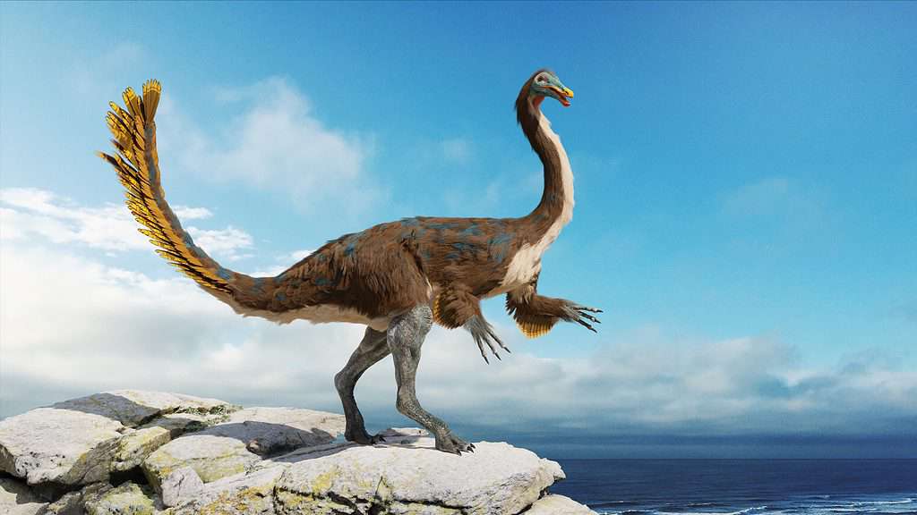 Gallimimo