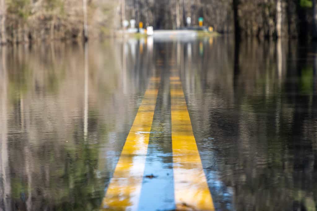 Pioggia della Carolina del Sud