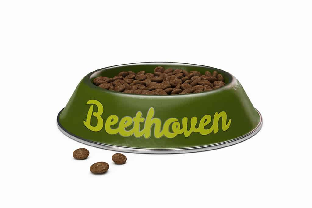 ciotola per cani verde con nome BEETHOVEN di cane isolato su bianco