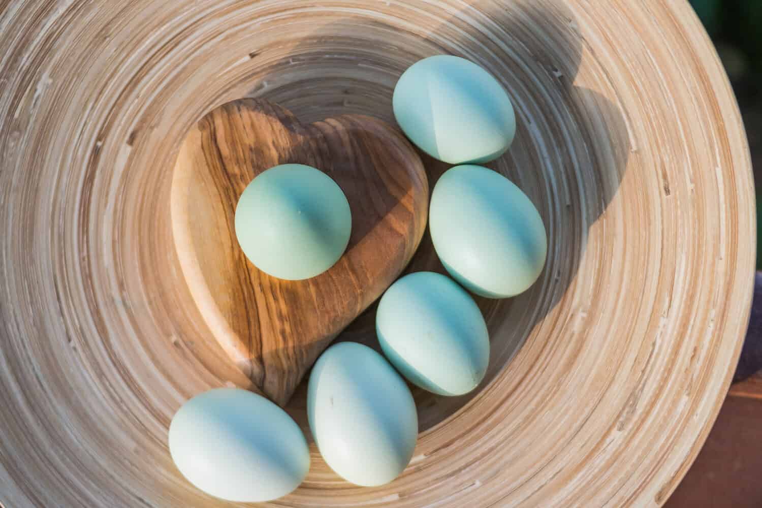 Sfondo scena primavera natura pasquale. Bellissime uova colorate nel nido. Concetto di festa di Pasqua. Uova di Pasqua. Caccia alla Pasqua, simbolo. Uova di gallina blu Araucana. Spazio copia