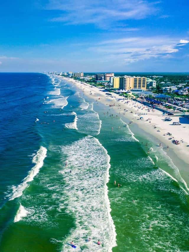 Serpenti che vivono sulle spiagge Immagine di copertina