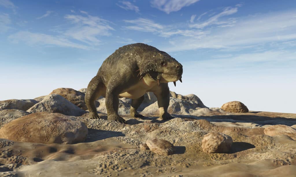 Scutosauro