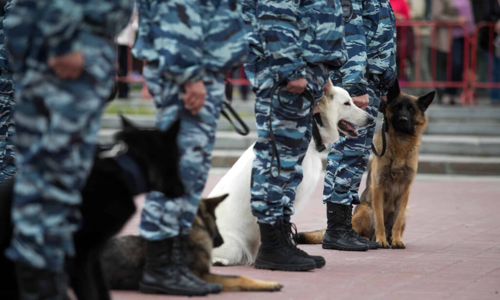 Cani da guardia in dotazione alla Polizia.