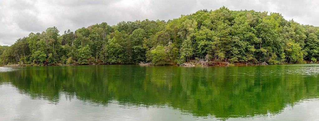 Panorama del Smith Mountain Lake Virginia State Park sotto un cielo nuvoloso, con alberi e il riflesso del lago.