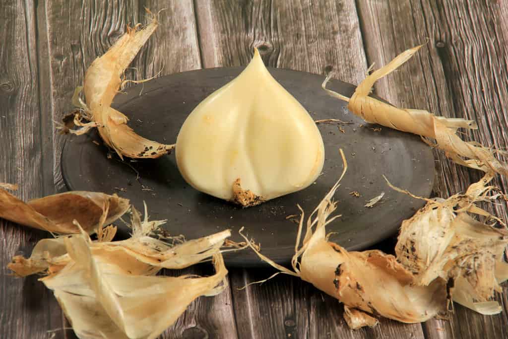 La cipolla anzur o cipolla Suvorov o aglio elefante (Allium suworowii) è una specie di cipolla originaria dell'Afghanistan e dell'Asia centrale