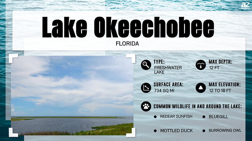 Infografica del lago Okeechobee