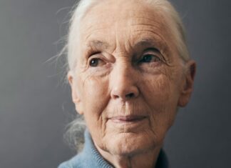 Ricordando Jane Goodall Ricordando Jane Goodall
