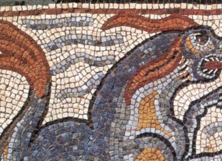 Sono millenni che le orche affondano le navi?
