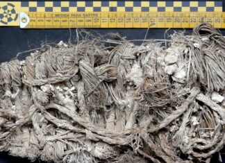 Trovato: scarpa di 750 anni, nel nido di avvoltoio
