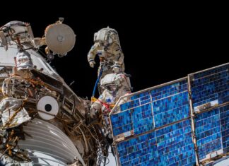 Cosa possiamo imparare osservando 100.000 animali con dettagli incredibili, dallo spazio Cosa possiamo imparare osservando 100.000 animali con dettagli incredibili, dallo spazio