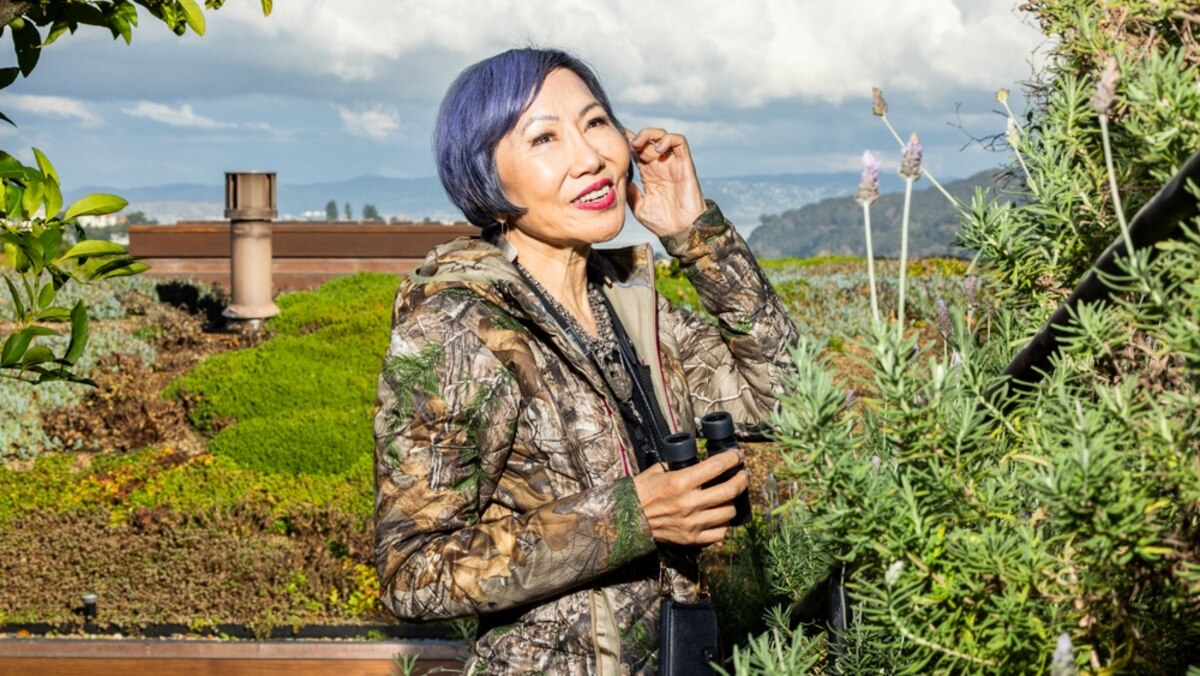 Come iniziare a fare birdwatching, secondo Amy Tan
